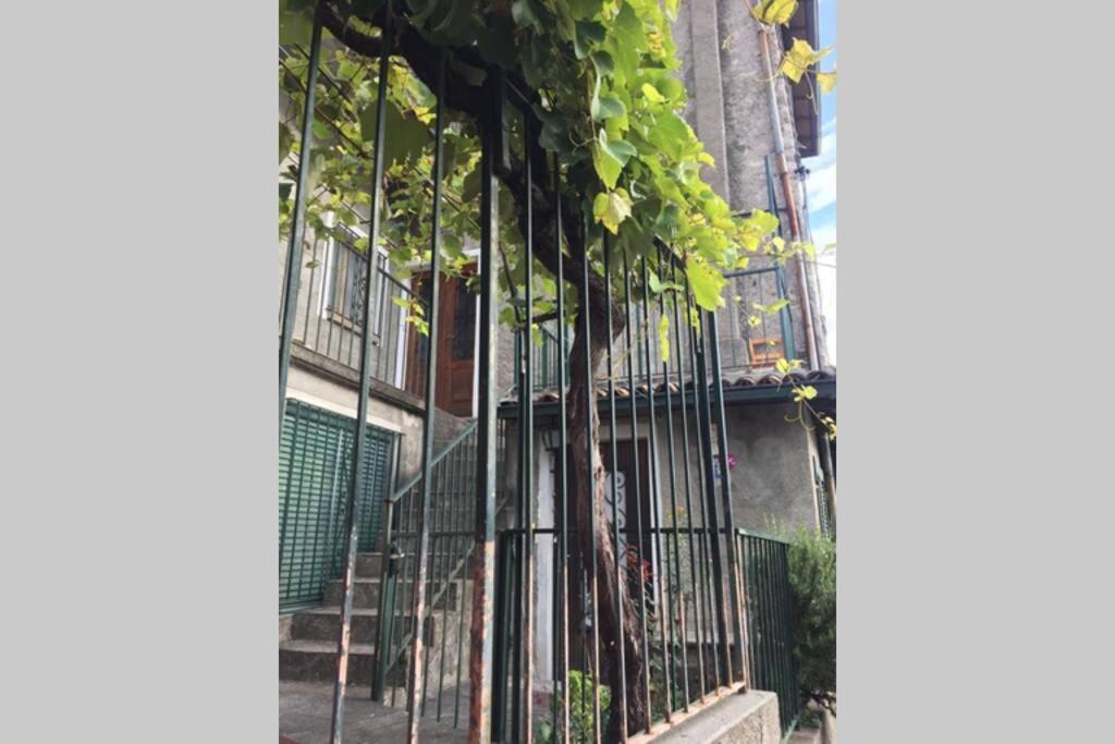 Nel Set Di Piccolo Mondo Antico Villa Viola Valsolda Exterior foto